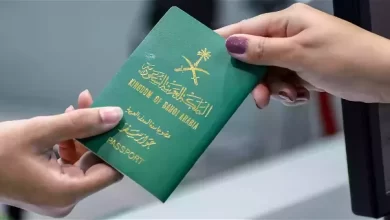 الاستعلام عن تأشيرة برقم الطلب visa.mofa.gov وأنواع التأشيرات