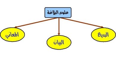 التشبيه في البلاغة