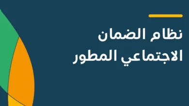 الحصول على دعم الضمان