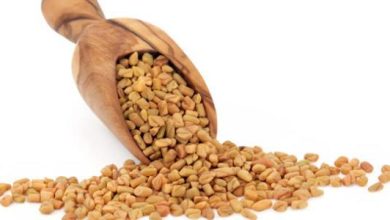 الحلبة لزيادة الوزن