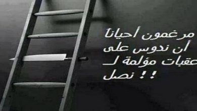 الحياة والعِلم