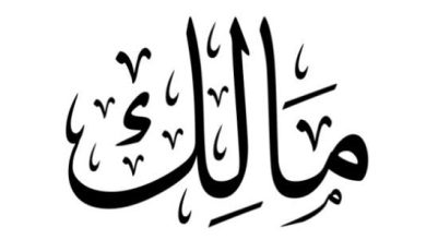 الصفات الشخصية لحامل اسم مالك