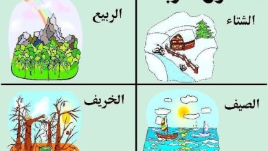 الفصول الأربعة للأطفال
