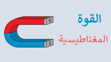القوة المغناطيسية