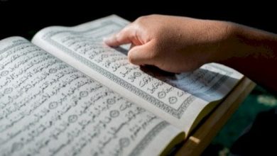 قصص القرآن الكريم