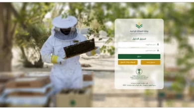 المجال الزراعي