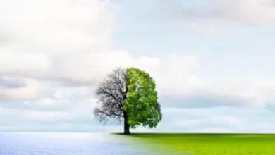 المخاطر التي تهدد الموارد الطبيعية