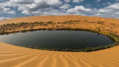 الوسط الطبيعي في الجزائر