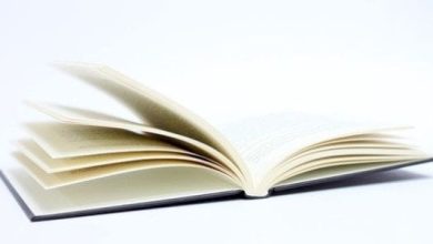 بحث حول المدرسة الإنجليزية في اللسانيات