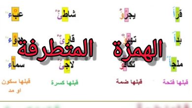 بحث عن الهمزة المتطرفة