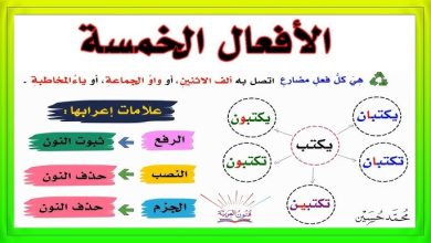 بناء فعل الأمر
