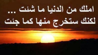 بوستات حكم عن الدنيا