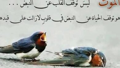 بوستات حكم قصيرة