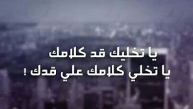 بوستات فيس بوك سرسجيه مميزة