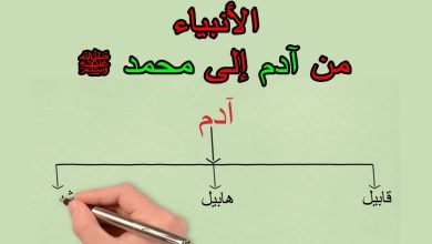 ترتيب الانبياء