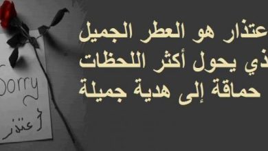 تصالح الحبيب للحبيبة