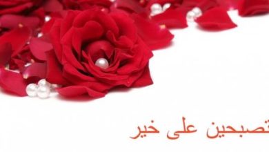 تصبحين على خير حبيبتي