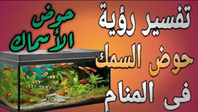 تفسير رؤية حوض السمك