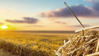 تفسير رؤية وخز الإبرة في المنام للعزباء