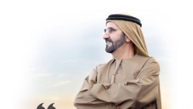 تلخيص كتاب تأملات في السعادة