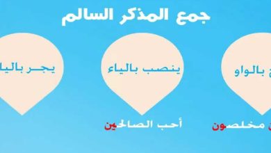 جمع المذكر السالم