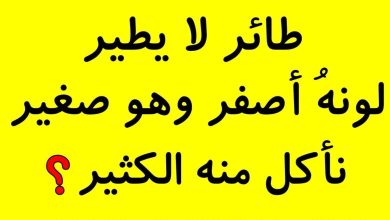حزازير مضحكة قصيرة
