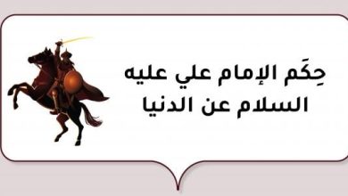 حكم الإمام علي