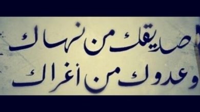 حكم الامام علي