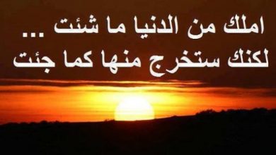 حكم عن الدنيا طريق إلى الآخرة تُقدم الوعظ والحكمة للجميع