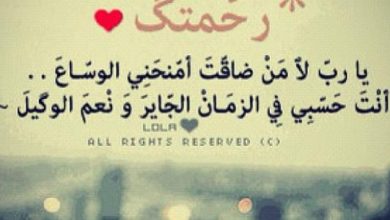 حكم عن الدنيا والناس