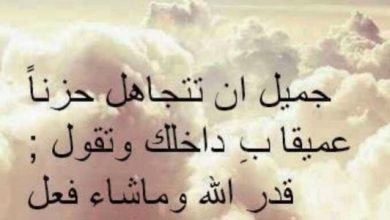 حكم وأقوال جميلة