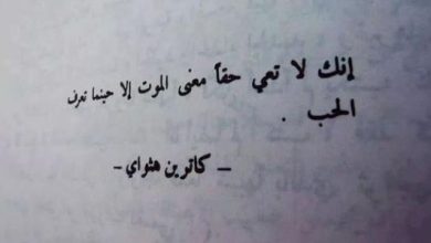 حكم وأمثال الحب