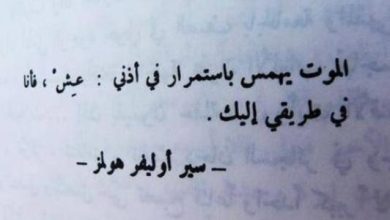 حكمة اليوم عن الحياة