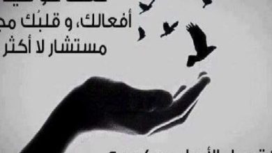 حكمة جميلة في الحياة وأجمل العبارات التي قيلت في حب الحياة