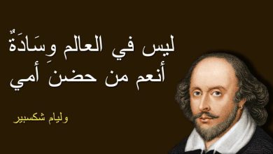 حكمة قالها أكبر العلماء