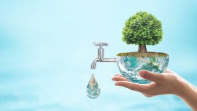 خاتمة عن الموارد الطبيعية مميزة