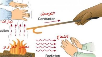 درجة الحرارة والطاقة الحرارية