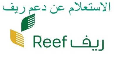 دعم ريف