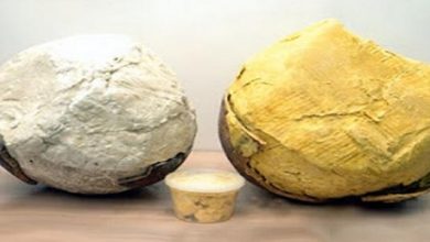 زبدة الشيا الخام