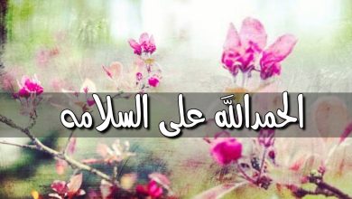 سلامة المريض