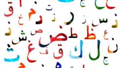 شبه الجملة