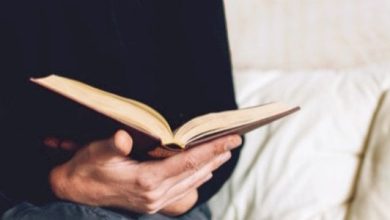 شرح قصيدة طواه الردى مبسط