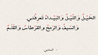 شعر للمتنبي