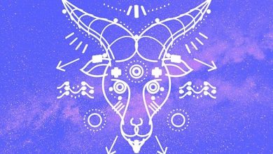 صفات أنثى الجدي