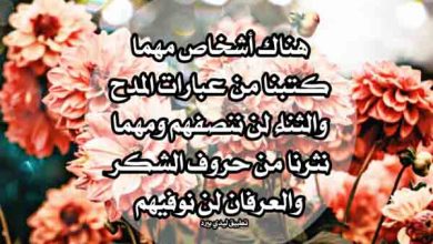عبارات ثناء ومدح