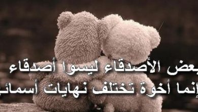 عبارات جميلة لصديقتي
