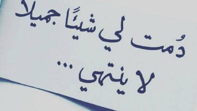 عبارات جميلة وقصيرة مميزة