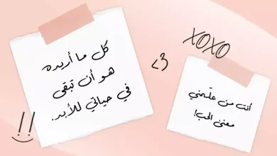 عبارات حب جديدة ومميزة