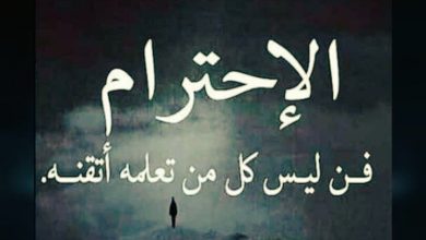 عبارات عن الاحترام