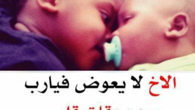 عبارات عن الاخ السند مميزة
